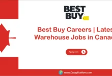 Best Buy Careers