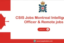 CSIS Jobs